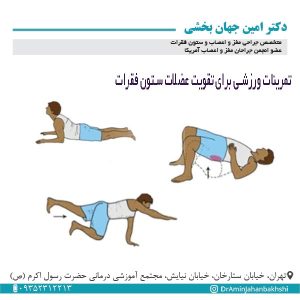تمرینات ورزشی برای تقویت عضلات ستون فقرات
