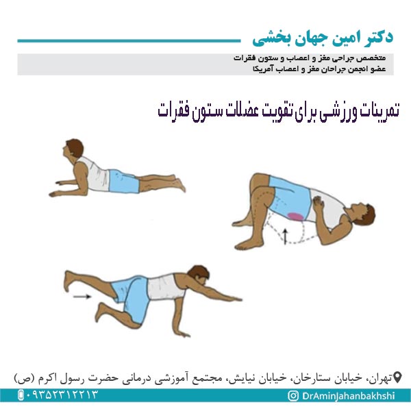 تمرینات ورزشی برای تقویت عضلات ستون فقرات